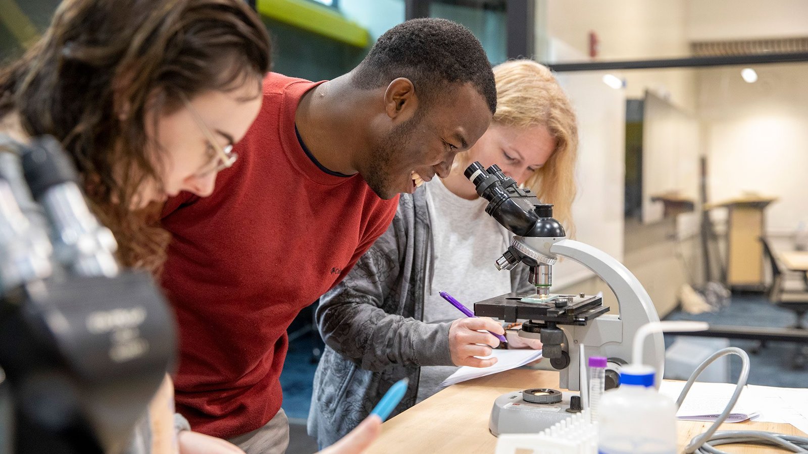 Woods Hole Oceanographic Institution Internship In USA 2024