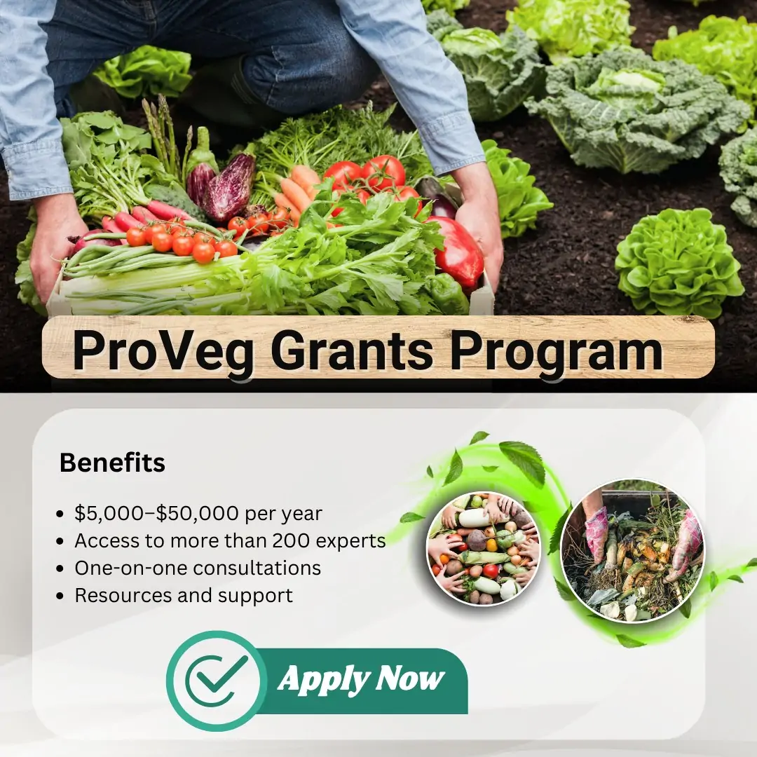 Apply for the $50000 ProVeg Grants For Innovators