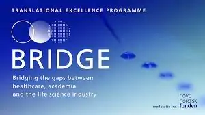 Scholarship for BRIDGE Postdoctoral Fellowship in Translational Medicine